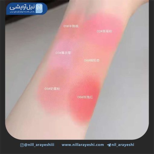 رژگونه درب رنگی طرح حیوانات گگ بیر ( بدون جعبه )