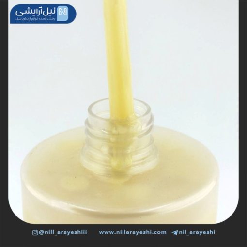 شامپو سر پمپی زنجبیل نوجون 380 میل