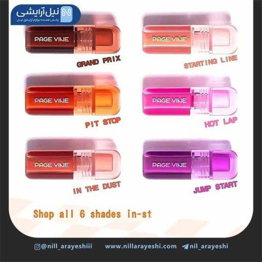 رژگونه مایع پیجوان کد p0212